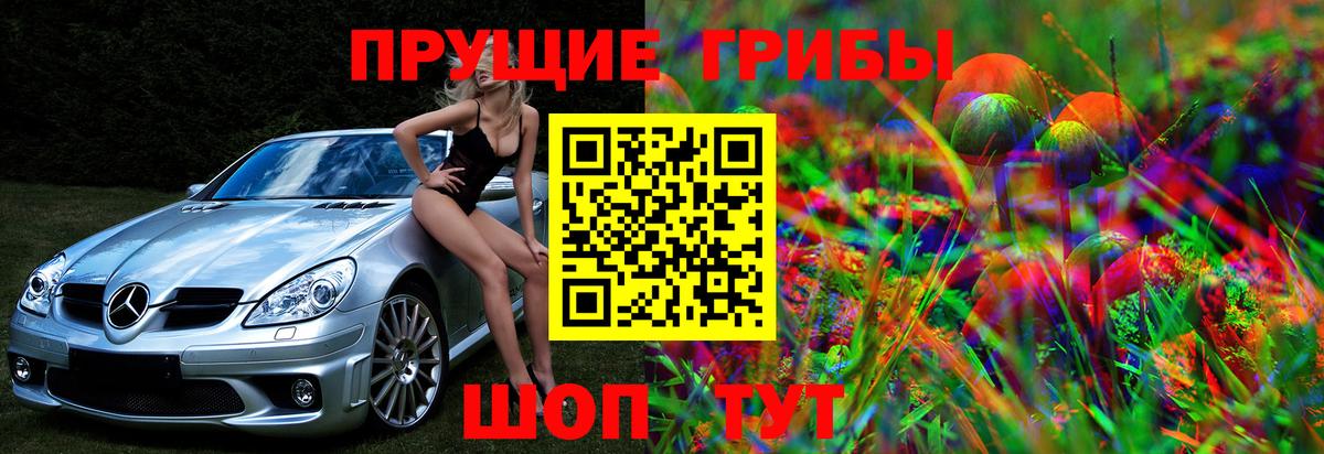 Славгород  Псилоцибиновые грибы Psilocybine cubensis  Вход с VPN 